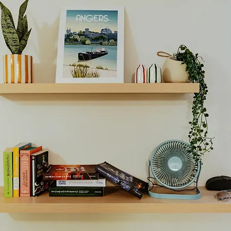 公寓 Le Sauge - Cocon Cosy - Ventilateur - Wi-fi 昂热
